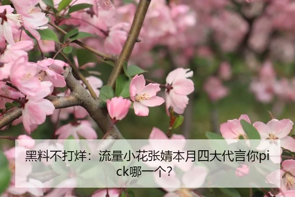 黑料不打烊：流量小花张婧本月四大代言你pick哪一个？